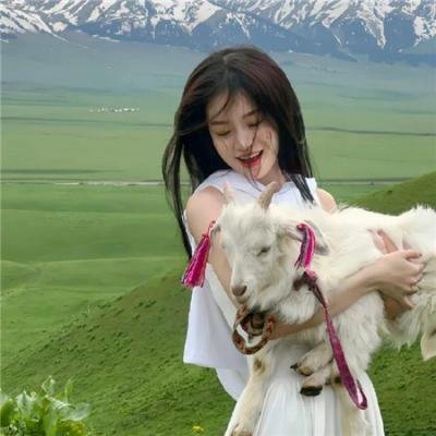 西葫芦的生活
