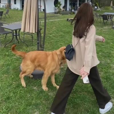 关人矮事